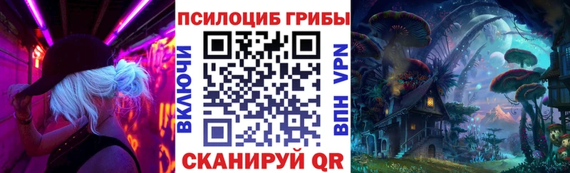 купить наркотик  Алзамай  MEGA сайт  Галлюциногенные грибы мицелий 